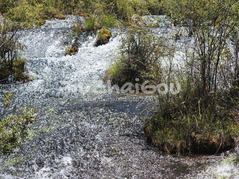 Jiuzhaigou Pearl Shoals