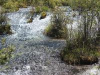 Jiuzhaigou Pearl Shoals