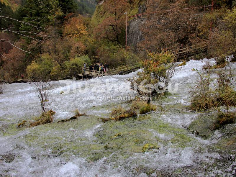 Pearl Shoal Jiuzhaigou
