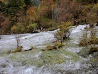 Pearl Shoal Jiuzhaigou