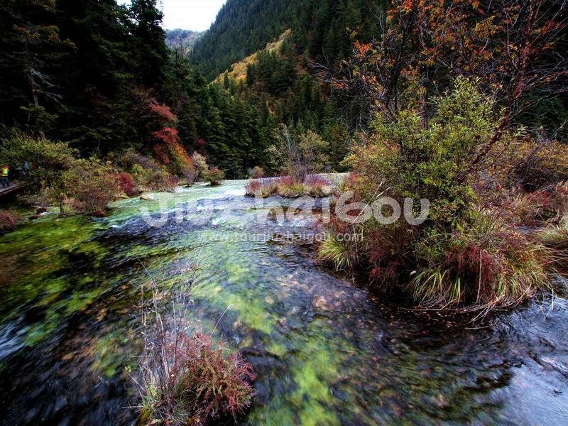 Pearl Shoal in Jiuzhaigou National Park 