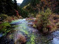 Pearl Shoal in Jiuzhaigou National Park 