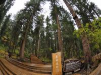 The Virgin Forests- Jiuzhaigou National Park