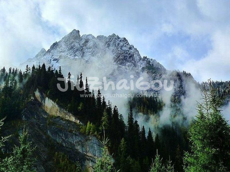 Jiuzhaigou Primitive Forest 