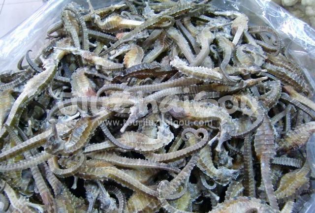 Chinese herbal medicine