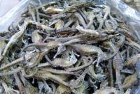 Chinese herbal medicine