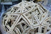 Chinese herbal medicines