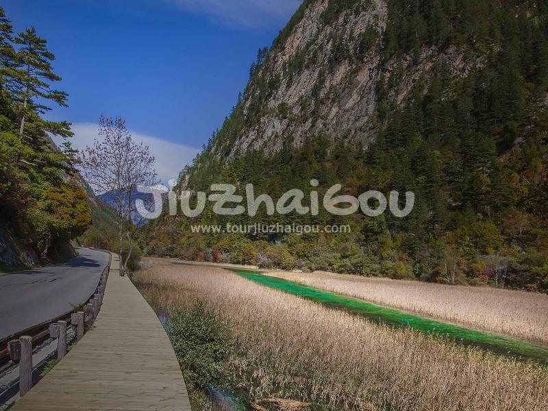 Reed Lake Jiuzhaigou China 