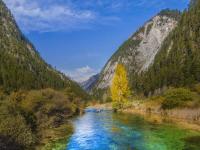 Jiuzhaigou Reed Lake