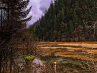 Reed Lake Jiuzhaigou