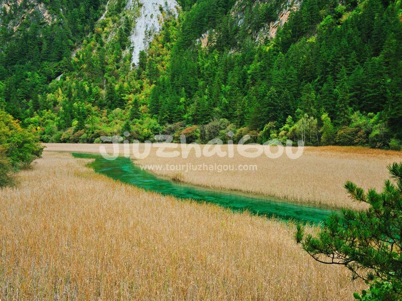 Reed Lake Jiuzhaigou Valley