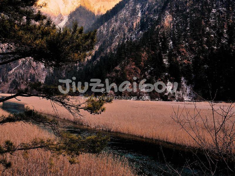Reed Lake