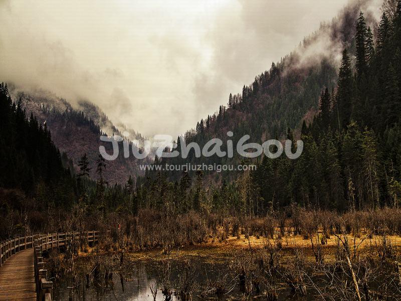Reed Lake
