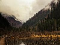 Reed Lake