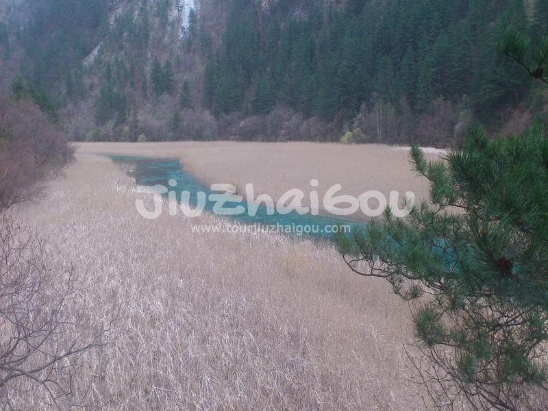 Reed Lake of Jiuzhaigou 