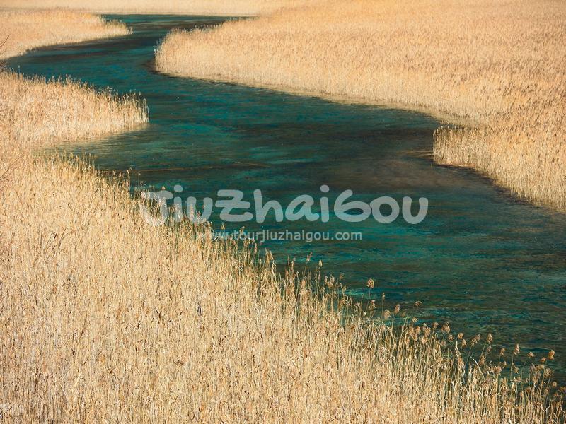 Reed Lake