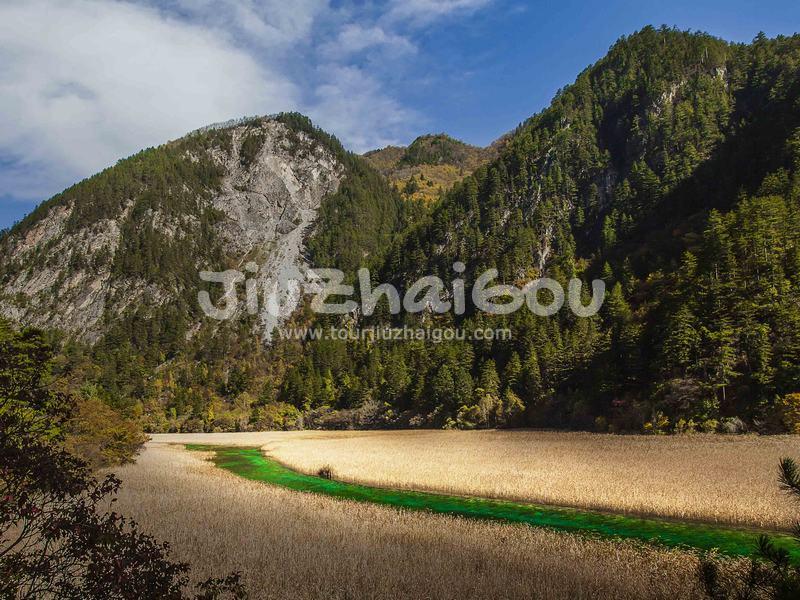 Reed Lake in Jiuzhaigou National Park 