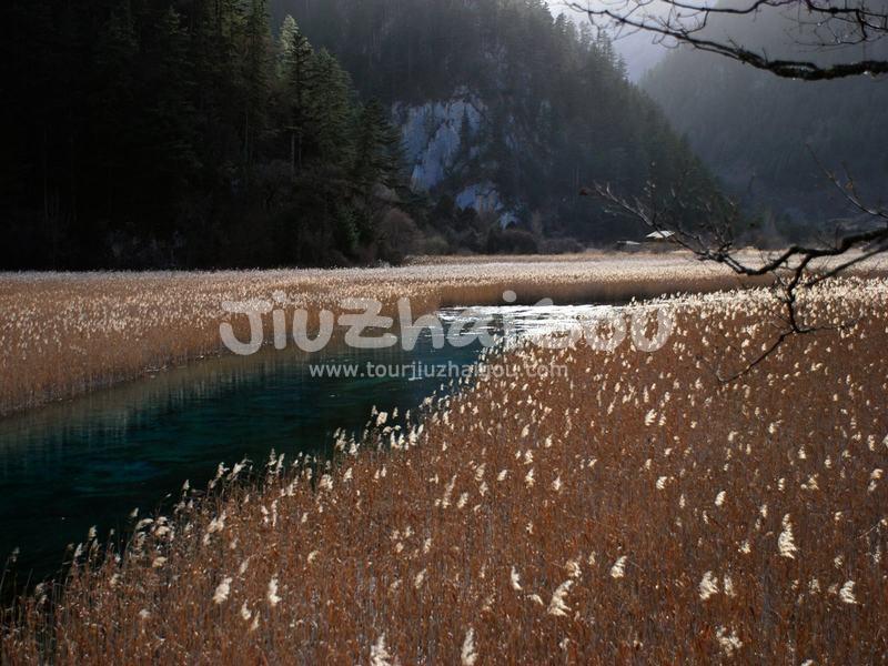 Reed Lake