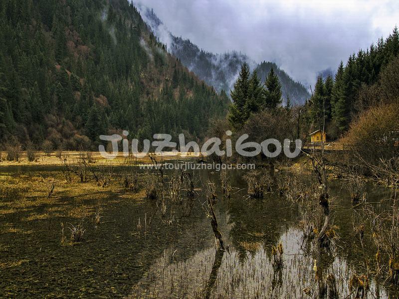 Reed Lake