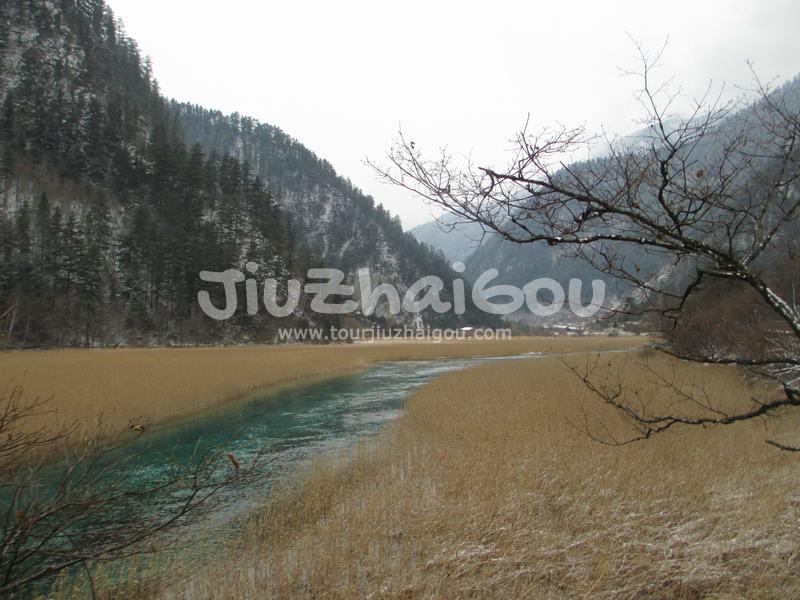Jiuzhaigou Reed Lake
