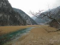 Jiuzhaigou Reed Lake