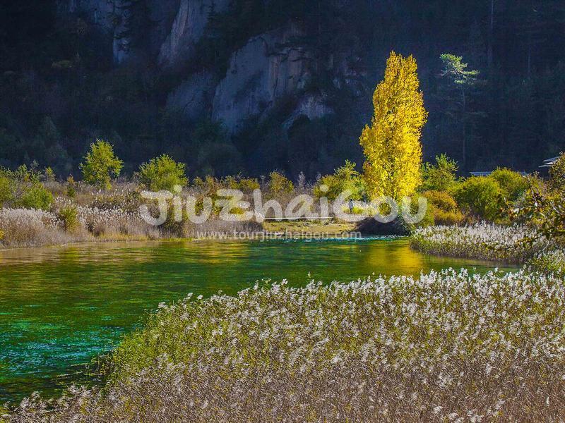 Reed Lake