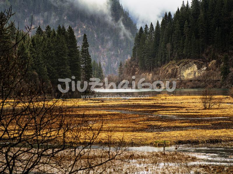 Reed Lake