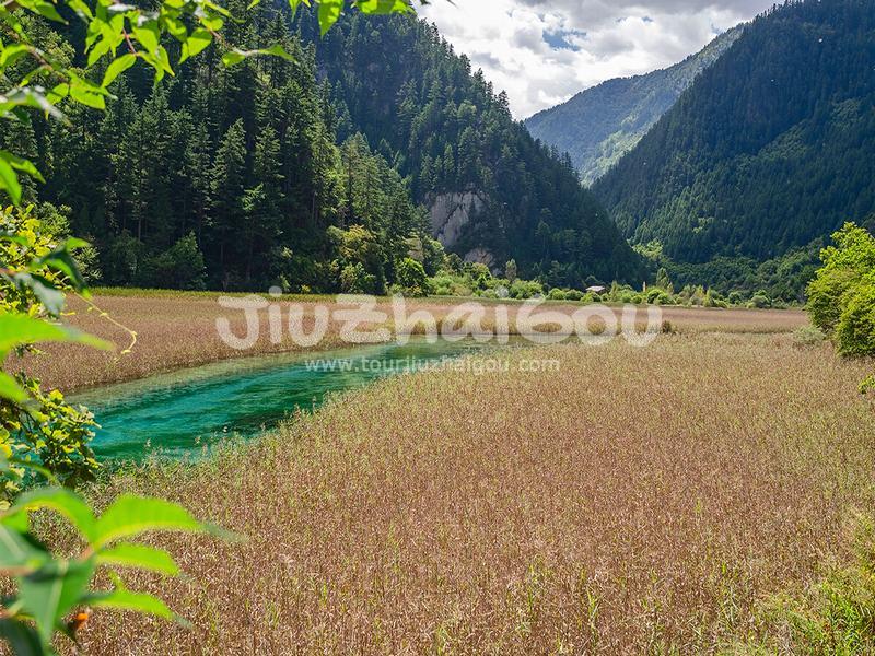 Reed Lake