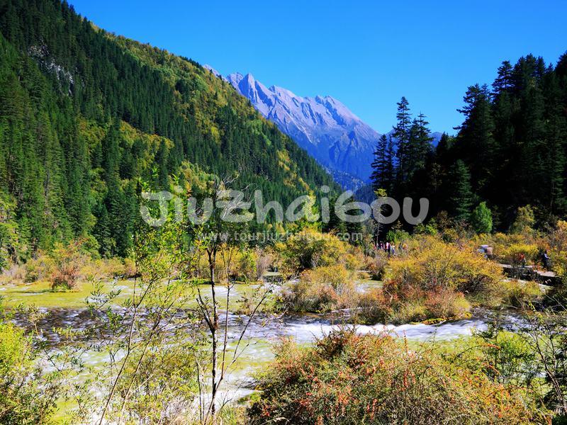 Rize Gully