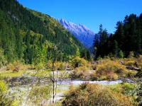 Rize Gully