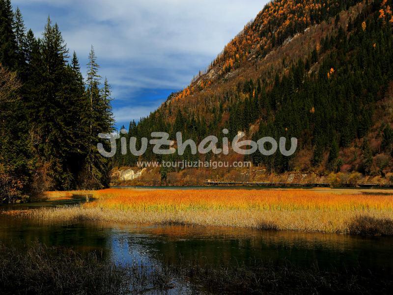 Rize Gully in Jiuzhaigou Valley 