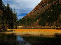 Rize Gully in Jiuzhaigou Valley 