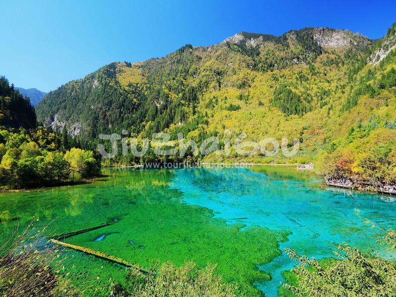  Jiuzhaigou Rize Gully