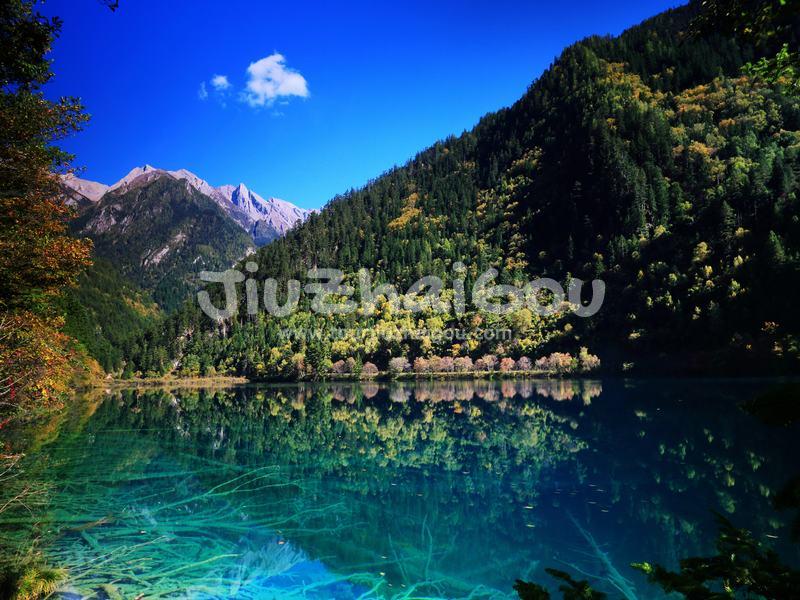 Rize Gully