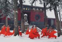 Shaolin Temple