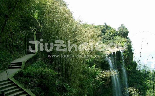 Waterfall Hidden in the Bamboo Forest 