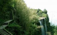 Waterfall Hidden in the Bamboo Forest 