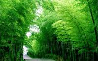 Shunan Zhuhai National Park