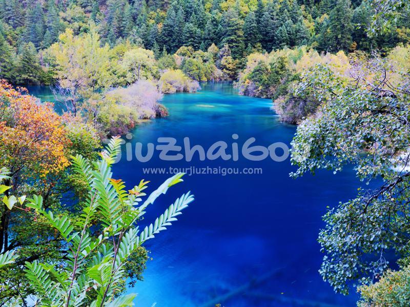 Shuzheng Gully Jiuzhaigou