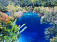 Shuzheng Gully Jiuzhaigou