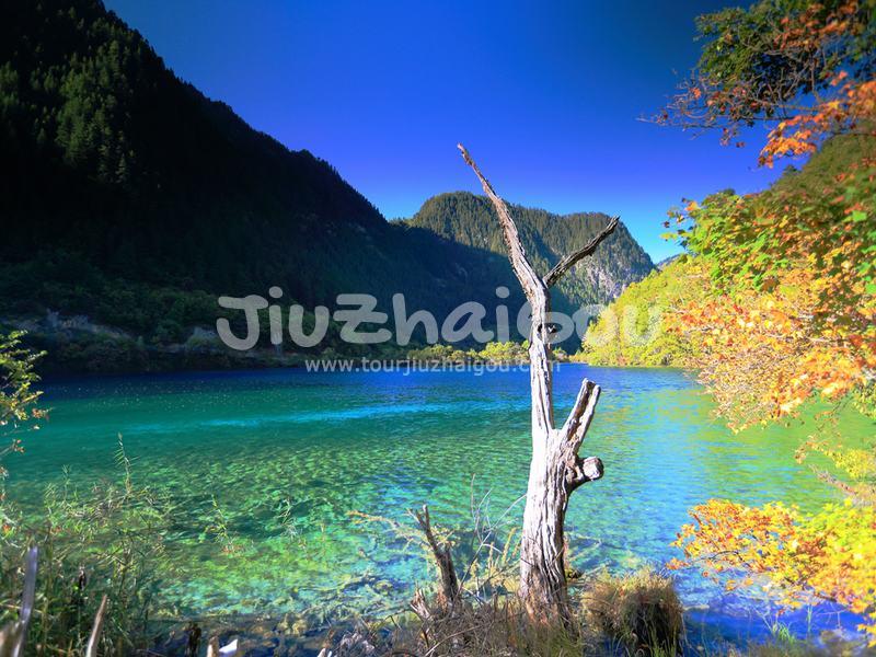 Jiuzhaigou Shuzheng Gully
