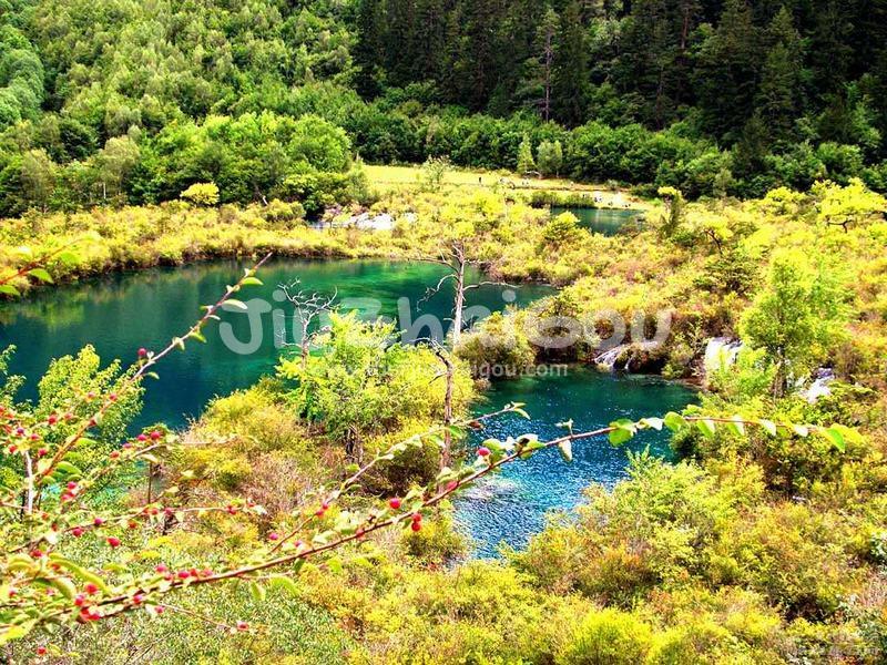 Shuzheng Lakes Jiuzhaigou, China