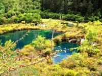 Shuzheng Lakes Jiuzhaigou, China