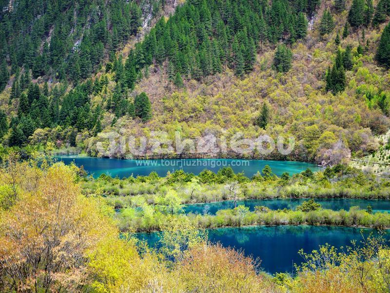 Shuzheng Lakes Jiuzhaigou