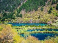 Shuzheng Lakes Jiuzhaigou