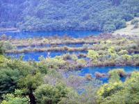 Shuzheng Lakes in Jiuzhaigou National Park 