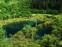 Shuzheng Lakes in Jiuzhaigou