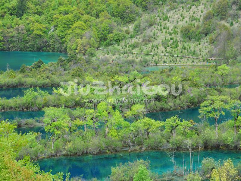 Shuzheng Lakes - Jiuzhaigou National Park