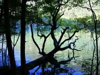 Sleeping Dragon Lake in Jiuzhaigou 