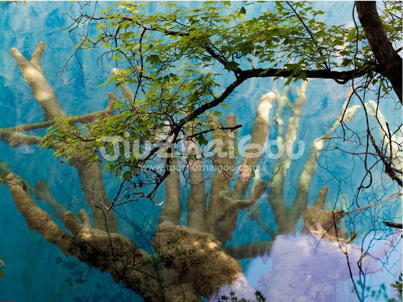 Sleeping Dragon Lake